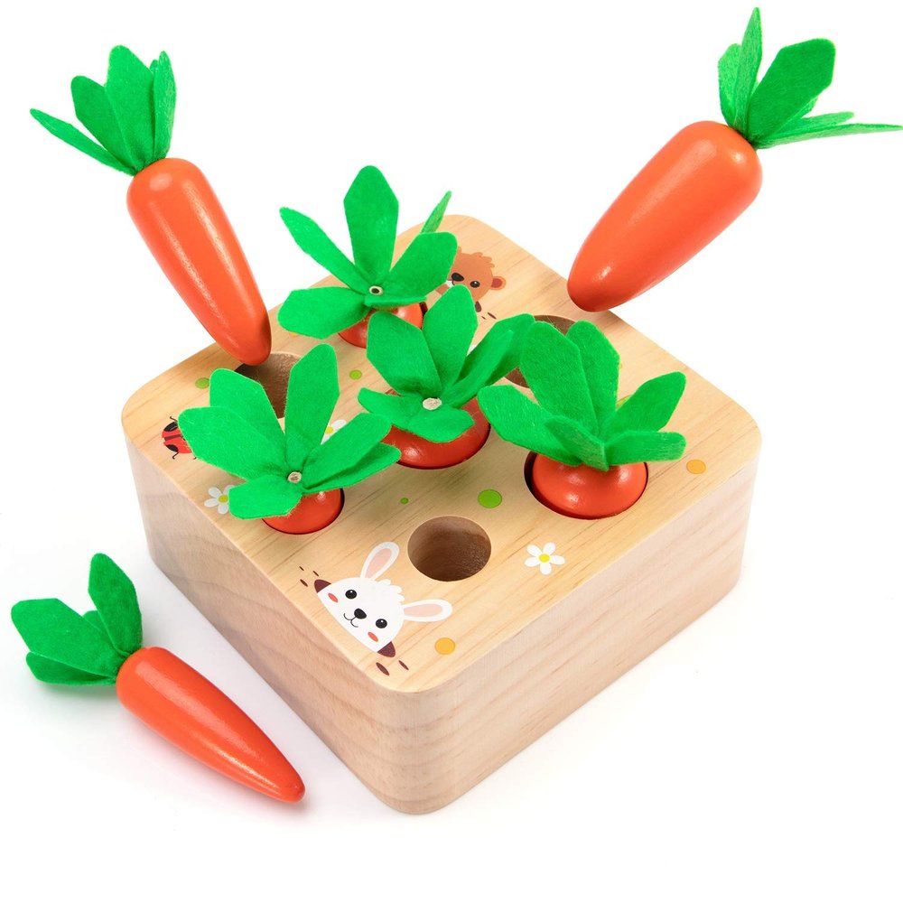 AOJOYS Montessori Toys Baby Easter Toys for Toddlers 1-3 Years Old, Educational Wooden Carrot Toys Shape Size Sorting Matching Puzzle, Great Baby Easter Gifts Birthday Gift Toys