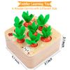 AOJOYS Montessori Toys Baby Easter Toys for Toddlers 1-3 Years Old, Educational Wooden Carrot Toys Shape Size Sorting Matching Puzzle, Great Baby Easter Gifts Birthday Gift Toys view 2