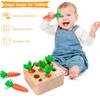 AOJOYS Montessori Toys Baby Easter Toys for Toddlers 1-3 Years Old, Educational Wooden Carrot Toys Shape Size Sorting Matching Puzzle, Great Baby Easter Gifts Birthday Gift Toys view 3