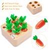 AOJOYS Montessori Toys Baby Easter Toys for Toddlers 1-3 Years Old, Educational Wooden Carrot Toys Shape Size Sorting Matching Puzzle, Great Baby Easter Gifts Birthday Gift Toys view 4