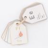 Good Ground Bible ABC Flash Cards Preschool Sunday School Toys Christian Homeschool Alphabet Ring Cards Toddler ABC Phonic Letters & Words view 2