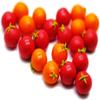 1shopforyou 20 Psc Mix Red and Orange Tomato Dollhouse Miniatures Toys & Food Kitchen by Handmade view 2