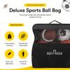 Easy Play Sports and Outdoors - Complete Sports Balls w/Bag, Pump for Boys - Kickball, Volleyball, Soccer Ball, Football, Basketball - Outdoor Play view 2