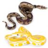 2pcs Funny Realistic Fake Rubber Toy Snake Black Fake Snakes 5.5 Inch Long for Halloween April Fool's Day view 1