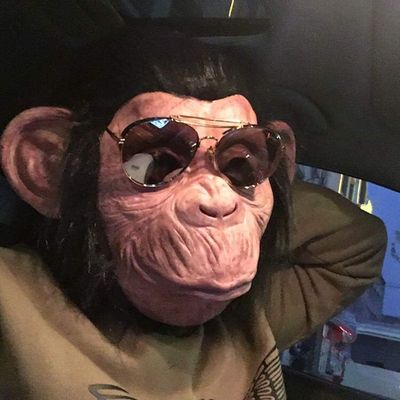 Utaomld Halloween Gorilla Mask, Novelty Monkey Orangutan Chimp Maks Costume Cosplay, Latex Animal Mask with Hair Dress Up for Halloween Party Black