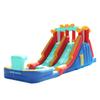 Doctor Dolphin Bounce House Inflatable Water Slide with Pool for Big Kids,Water Slides for Kids Backyard, Inflatable Water Park Double Slide view 1