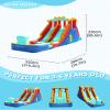 Doctor Dolphin Bounce House Inflatable Water Slide with Pool for Big Kids,Water Slides for Kids Backyard, Inflatable Water Park Double Slide view 2