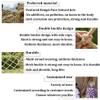 Children Stairs Safety Net Kids Balcony Protective Netting Heavy Duty Cargo Cover Anti-Drop Net Rope Net Playground Railings Swing Fence Decor Rope 8mm Mesh 10cm (Size : 1 * 6m(3 * 20ft)) view 4