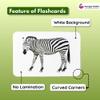 Hungry Brain Wild Animals Flash Cards for Toddlers (Ages 14)  24 Double-Sided Real Picture Learning Cards | Early Learning Educational Flashcards | Montessori & Preschool Toy for Babies and Kids view 4