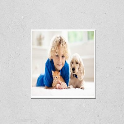 Poster Reproduction of Child playing with baby dog and cat. Kids play with puppy and kitten. Little boy and American cocker spaniel on bed at home. Children and pets at home. Kid taking nap with