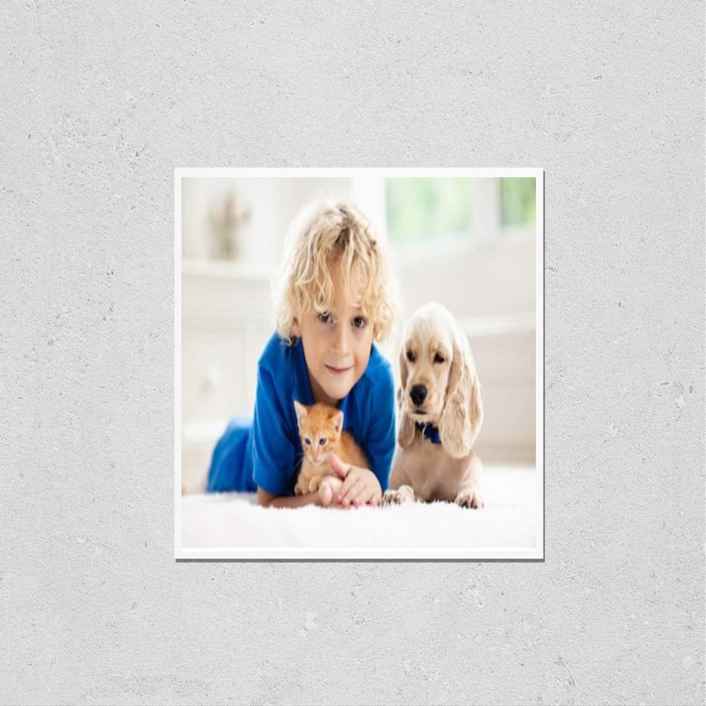 Poster Reproduction of Child playing with baby dog and cat. Kids play with puppy and kitten. Little boy and American cocker spaniel on bed at home. Children and pets at home. Kid taking nap with