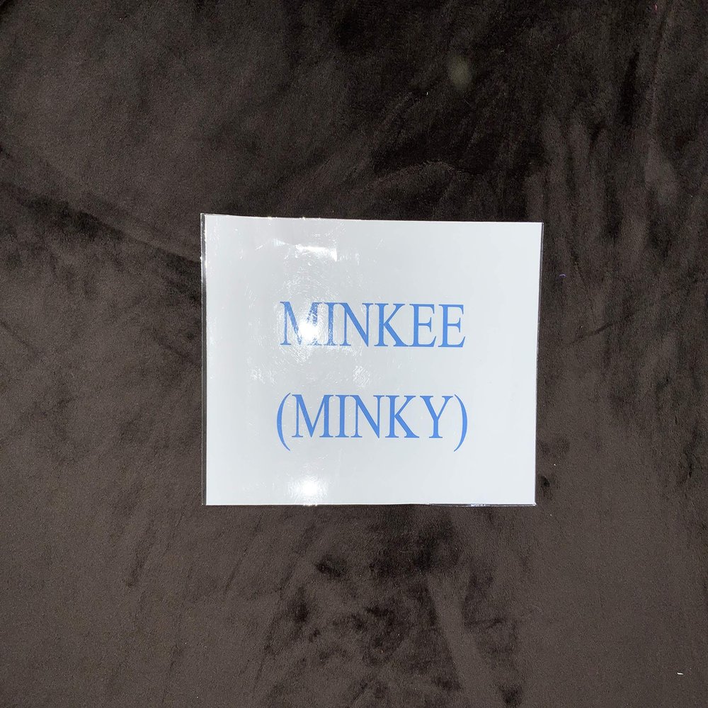 60 Wide Shannon Fabric Minky Cuddle 3 Chocolate Color
