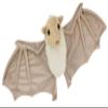 Stellaluna Gift Set Special Edition Hardcover by Janell Cannon, Stellaluna Stuffed Animal, Activity Booklet, Downloadable Crafts with Activity Kit and Create a Bat Artwork Gift Set view 4