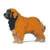 JEKCA Leonberger 01S-M01 | Dog Plastic Building Blocks | Age 14+ view 1