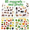 85 Fridge Magnets for Toddlers - Big Realistic Animal Magnets for Kids - Farm+Zoo+Fruits+Vegetables Magnet for Refrigerator - Magnetic Animals for Children - Learning Toy Set - Baby Educational Gift view 3