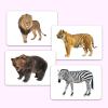 Hungry Brain Numbers Flash Cards for Toddlers (Ages 14), 24 Double-Sided Real Picture Learning Cards | Early Learning Educational Flashcards | Montessori & Preschool Toy for Babies and Kids view 3