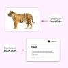 Hungry Brain Numbers Flash Cards for Toddlers (Ages 14), 24 Double-Sided Real Picture Learning Cards | Early Learning Educational Flashcards | Montessori & Preschool Toy for Babies and Kids view 4