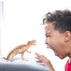 Schleich Dinosaurs, Jurassic Era Dinosaur Toys for Boys and Girls, Realistic Ceratosaurus Toy Figure with Moving Jaw, Ages 4+ view 2