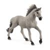 13915 - Sorraia Mustang Stallion view 1
