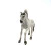 13915 - Sorraia Mustang Stallion view 3