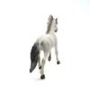 13915 - Sorraia Mustang Stallion view 4