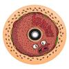 Chubby Melocore stuntsep wiel met lagers 110 mm burger boy Burgerboy view 1