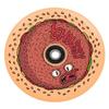 Chubby Melocore stuntsep wiel met lagers 110 mm burger boy Burgerboy view 2