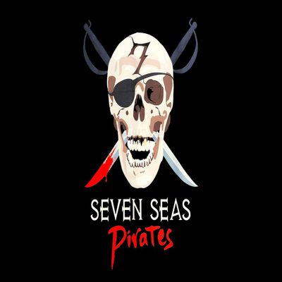 Seven Seas Pirates Toy Pirate Flag - Skull and Crossbones Black Background 5 x 8 Feet