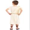 Fun Costumes Toddler Toga Costume Little Boys Toga Outfit - 2T - White view 2