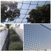 Hynet Kids Safety Net Black, Climbing Frames Rope Net Children's Balcony Stair Railing Protective Net Pets Fence Anti-Falling Net Anti-Aging (Size : 3 * 10m(10 * 33ft)) view 4