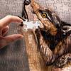1000 Piece Jigsaw Puzzle, Johannes Sttter Bodypainting Illusion Art - Wolf view 2