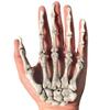 5 Pairs Halloween Skeleton Hands Realistic Plastic Fake Human Hands for Halloween Zombie Party Terror Scary Props view 4