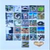 Alphabet Letter Flash Cards from Nature view 1
