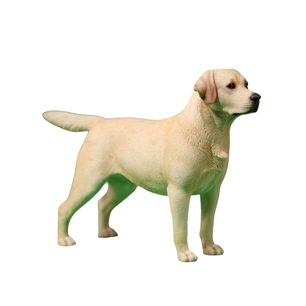 1:6 Scale Labrador Retriever Dog Pet Figure Realistic Animal Model