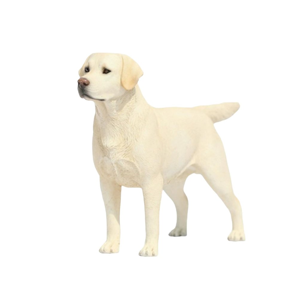 1:6 Scale Labrador Retriever Dog Pet Figure Realistic Animal Model