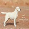 1:6 Scale Labrador Retriever Dog Pet Figure Realistic Animal Model view 4