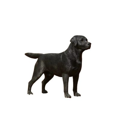 1:6 Scale Labrador Retriever Dog Pet Figure Realistic Animal Model