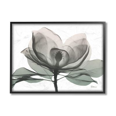 Stupell Industries White Magnolia Flower Green Silhouette, Design by Albert Koetsier Black Framed Wall Art, 11 x 14 (ac-535_fr_11x14)