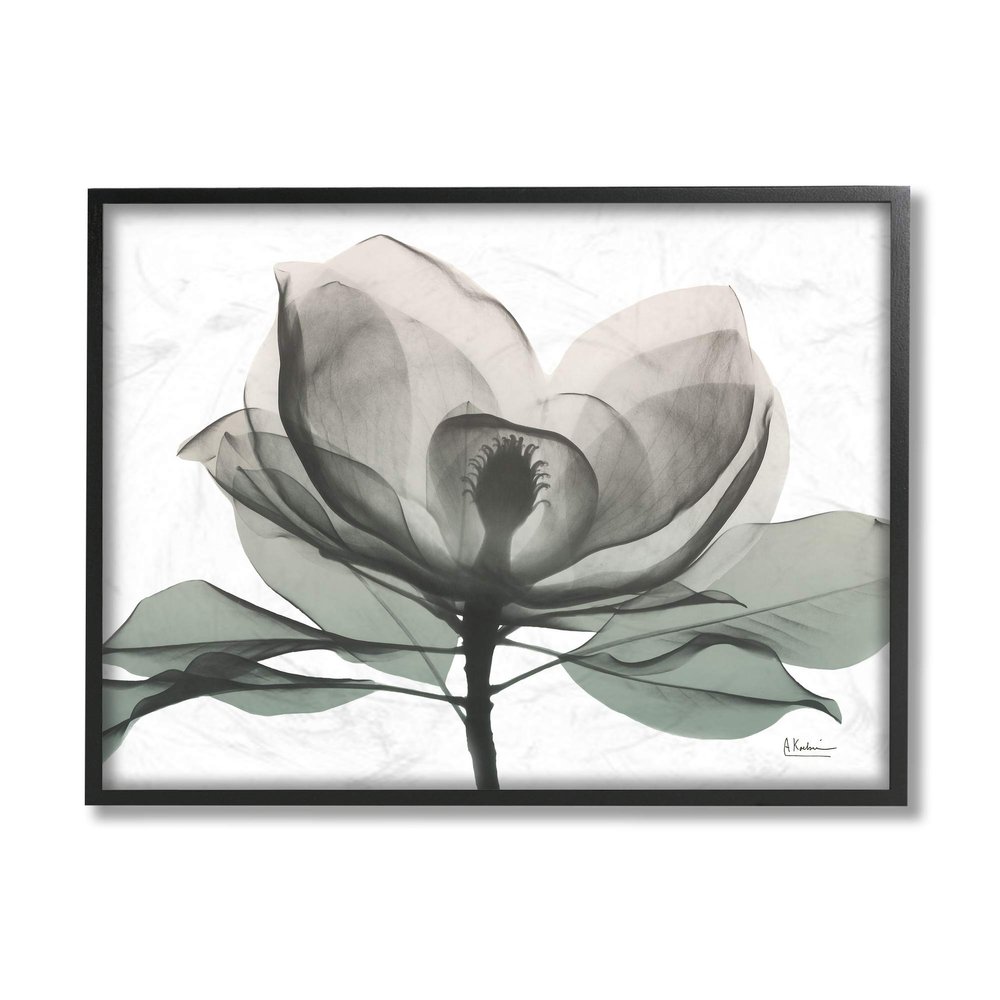 Stupell Industries White Magnolia Flower Green Silhouette, Design by Albert Koetsier Black Framed Wall Art, 11 x 14 (ac-535_fr_11x14)