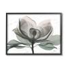 Stupell Industries White Magnolia Flower Green Silhouette, Design by Albert Koetsier Black Framed Wall Art, 11 x 14 (ac-535_fr_11x14) view 1