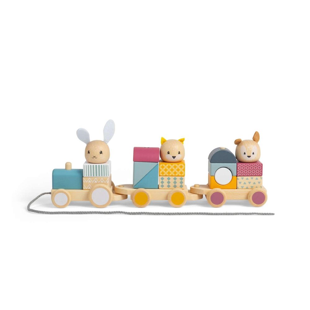 Bigjigs Toys, FSC Certified Wooden Toy Train, Pull Along Toy for 1 Year Old, Wooden Train, Kids' Pull-Along Wagons, Animal Passengers, Suitable for Hard and Soft Surfaces
