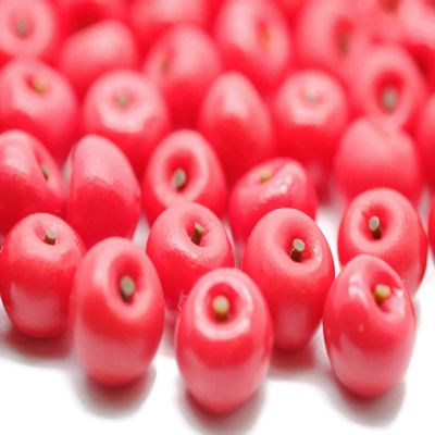 1shopforyou 20-Piece Red Mini Apple Decorative Set Clay Display Accents for Home Dcor & Craft Styling