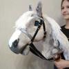 Dapple Gray Hobby Horse A3 Stick Horse for Children Horse Toy on Stick view 3