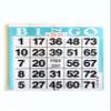 United Novelty 1 on Single Face Bingo Paper Cards- Pack of 500 Sheets- Color Aqua Border_AB view 1