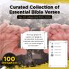 100 Spanish Bible Scripture Study: Estudio de las Escrituras | Estudiar Tarjetas de Flash | Reina Valera 1960 Edicion | 100 de las escrituras mas importantes y utiles de la Biblia view 4