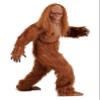 Fun Costumes Kid's Jack Links Sasquatch Costume, Big Foot Jumpsuit Halloween Costume, X-Large view 1
