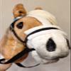 Hobby Horse Realistic with Bridle - A3 Haflinger Horse on Stick view 2