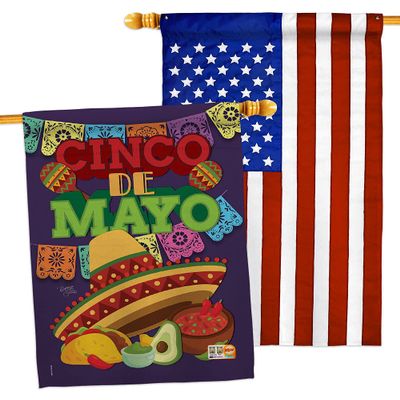 Breeze Decor Cinco de Mayo House Flags Pack Summertime Party Cactus Pinata Sombrero Mexican Fiesta Outdoor USA Applique Small Decorative Gift Yard Banner Double-Sided Made in 28 X 40