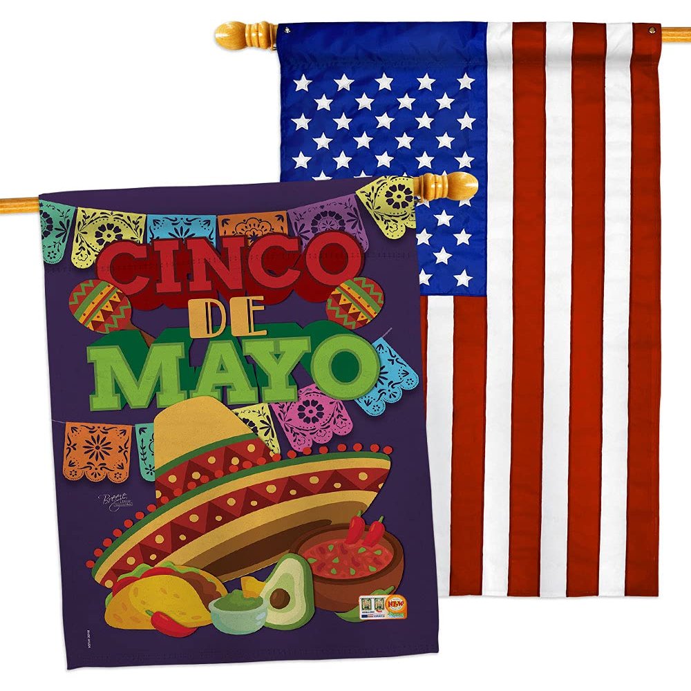 Breeze Decor Cinco de Mayo House Flags Pack Summertime Party Cactus Pinata Sombrero Mexican Fiesta Outdoor USA Applique Small Decorative Gift Yard Banner Double-Sided Made in 28 X 40