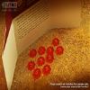 LITKO Spice Tokens | Compatible with Dune | Imperium | Pack of 10 (Fluorescent Amber - 5-Spice) view 2